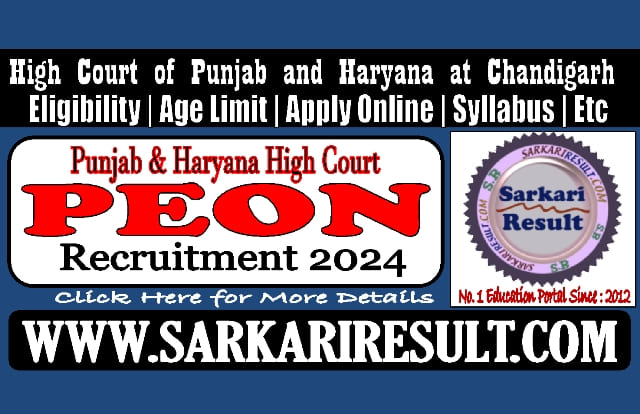 Sarkari Result Haryana and Punjab High Court Peon Recruitment 2024